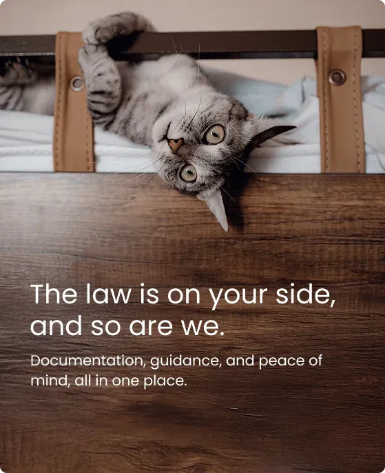 The law is on your side — cat with Fair Housing Act protection messaging